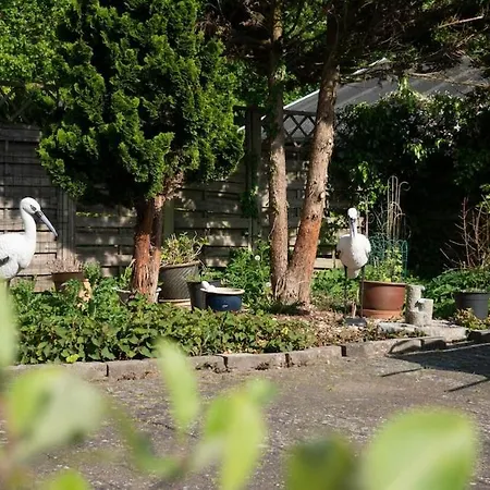 Amazing With Garden Villa *